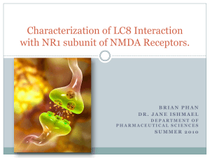 Characterization of LC8 Interaction with NR1 subunit of NMDA Receptors.