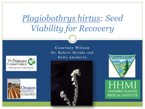Plagiobothrys hirtus: Seed Viability for Recovery