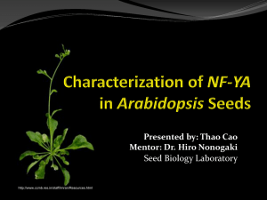 Seed Biology Laboratory Presented by: Thao Cao Mentor: Dr. Hiro Nonogaki