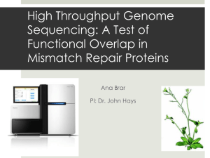 High Throughput Genome Sequencing: A Test of Functional Overlap in Mismatch Repair Proteins