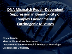 DNA Mismatch Repair-Dependent Suppression in Genotoxicity of Complex Environmental Carcinogenic Mixtures