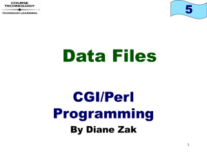 Data Files CGI/Perl Programming 5