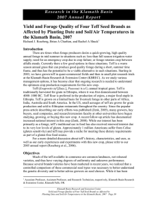 Yield and Forage Quality of Four Teff Seed Brands as Affected