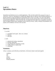 Lab 3.1: Spreadsheet Basics