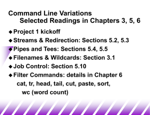 Lec6 Command Line Variations.ppt