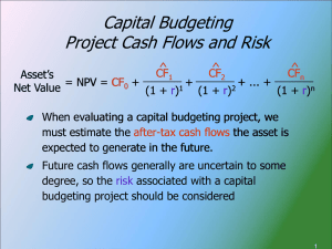 Project Cash Flows and Risk