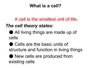 What is a cell? The cell theory states: