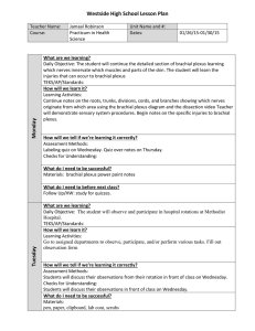 Westside High School Lesson Plan