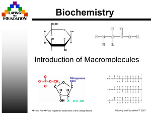 Biomolecules PP