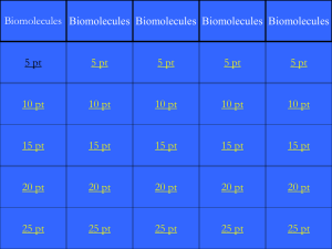 Biomolecules Jeopardy