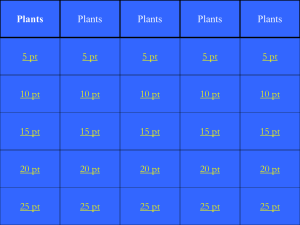 Plants Jeopardy 2