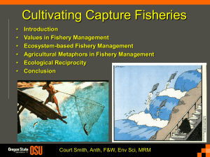 Cultivating Capture Fisheries