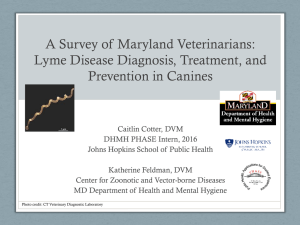 A Survey of Maryland Veterinarians: Lyme Disease Diagnosis, Treatment, and Prevention in Canines