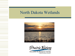 North Dakota Wetlands Power Point