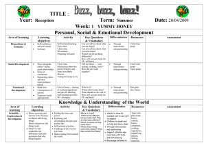 Primary school bee project plan