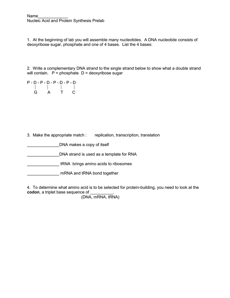 nucleic-acids-and-protein-synthesis-worksheet-answers-ivuyteq