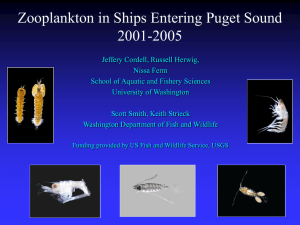 Zooplankton in Ships Entering Puget Sound