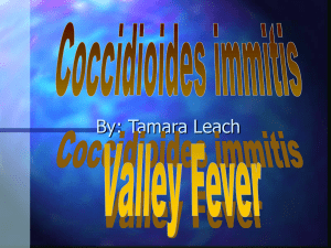 Valley Fever Presentation.ppt