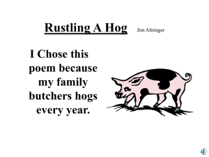 Rustling A Hog I Chose this poem because my family