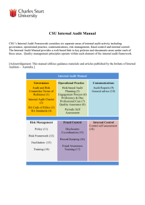 CSU Internal Audit Manual