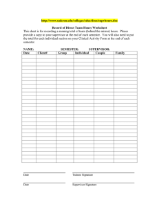 Record of Direct Team Hours Worksheet