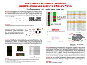 Gene expression of Saccharomyces cerevisiae cells exposed to commercial wood preservatives by Microarray Analysis.