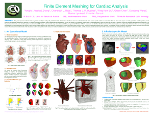 Finite Element Meshing for Cardiac Analysis
