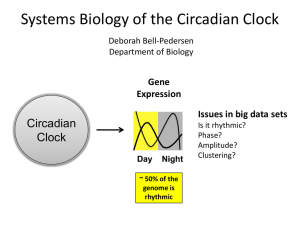 “Systems Biology of the Circadian Clock”