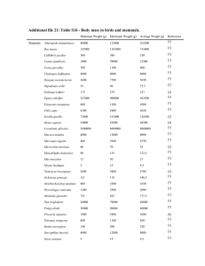 Additional file 21: Table S16 - Body mass in birds...