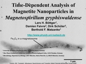 Luebeck_Nanoparticles in Magnetospirillum.ppt