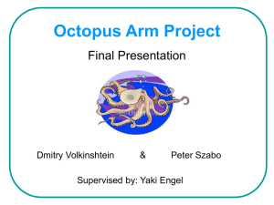 Octopus Arm Project Final Presentation Supervised by: Yaki Engel