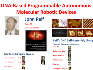 DNA-Based Programmable Autonomous Molecular Robotic Devices John Reif Reif’s DNA Self-Assembly Group
