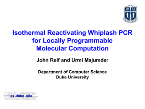 Isothermal Reactivating Whiplash PCR for Locally Programmable Molecular Computation