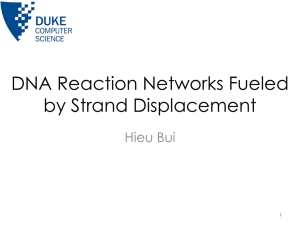 DNA Reaction Networks Fueled by Strand Displacement Hieu Bui 1
