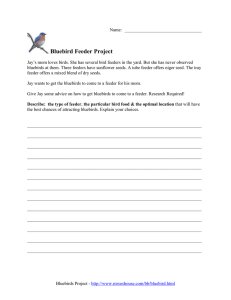 Bluebird Feeder Project