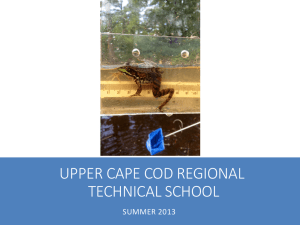 UpperCapeRegTechSummerProrgram