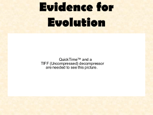 Evidence of Evolution Powerpoint