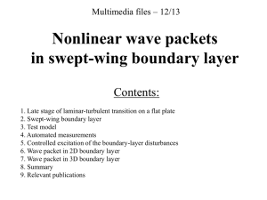 12. Nonlinear wave packets in swept-wing boundary layer.ppt