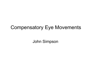 Compensatory Eye Movements John Simpson