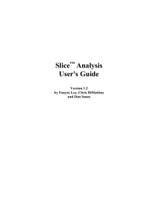 Slice Analysis User's Guide
