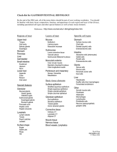 Check-list for GASTROINTESTINAL HISTOLOGY