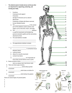 I. The skeletal system includes bones and tissues that moving your body.