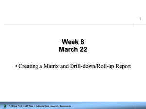 Week 8 March 22 • Creating a Matrix and Drill-down/Roll-up Report 1