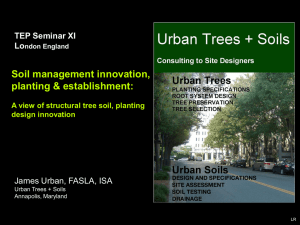 'Soil management innovation, planting and establishment'