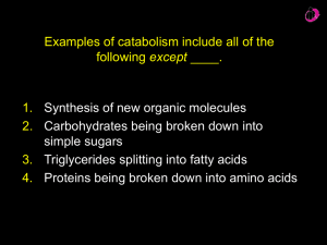 Examples of catabolism include all of the except 1. 2.