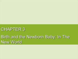CHAPTER 3 Birth and the Newborn Baby: In The New World