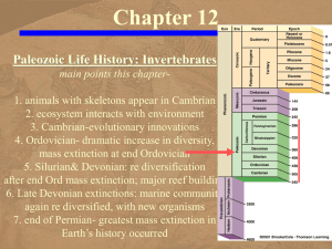 Chapter 12 - Paleozoic Life - Invertebrates