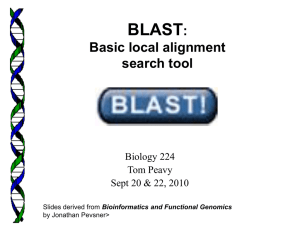BLAST : Basic local alignment search tool