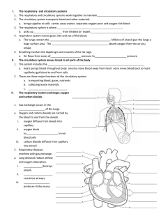 I. The respiratory  and circulatory systems