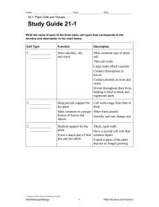 chapter 21 section 1 and 3 study guides